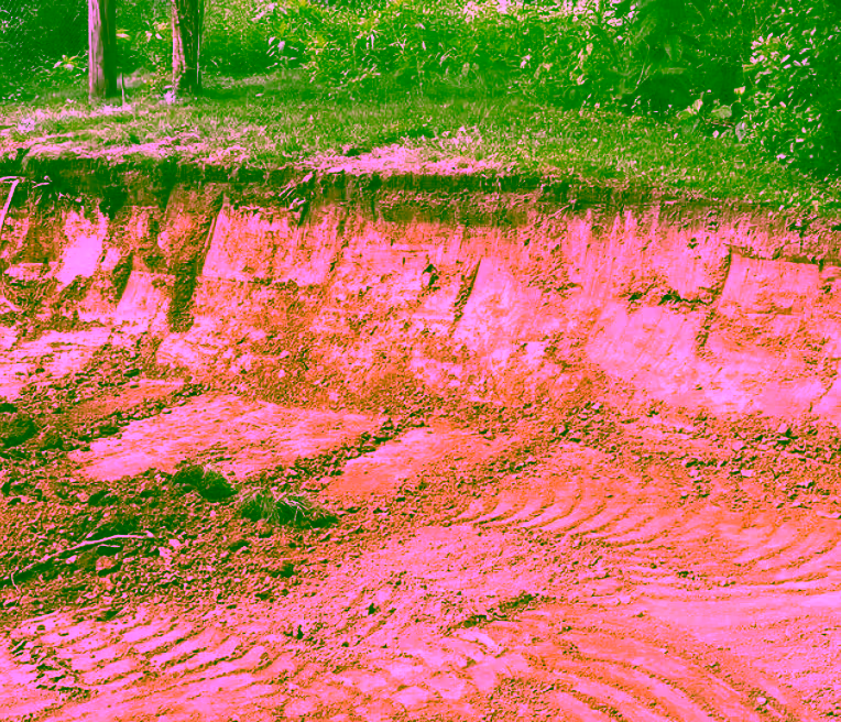 Grading and Drainage That Make a Landscape Last
