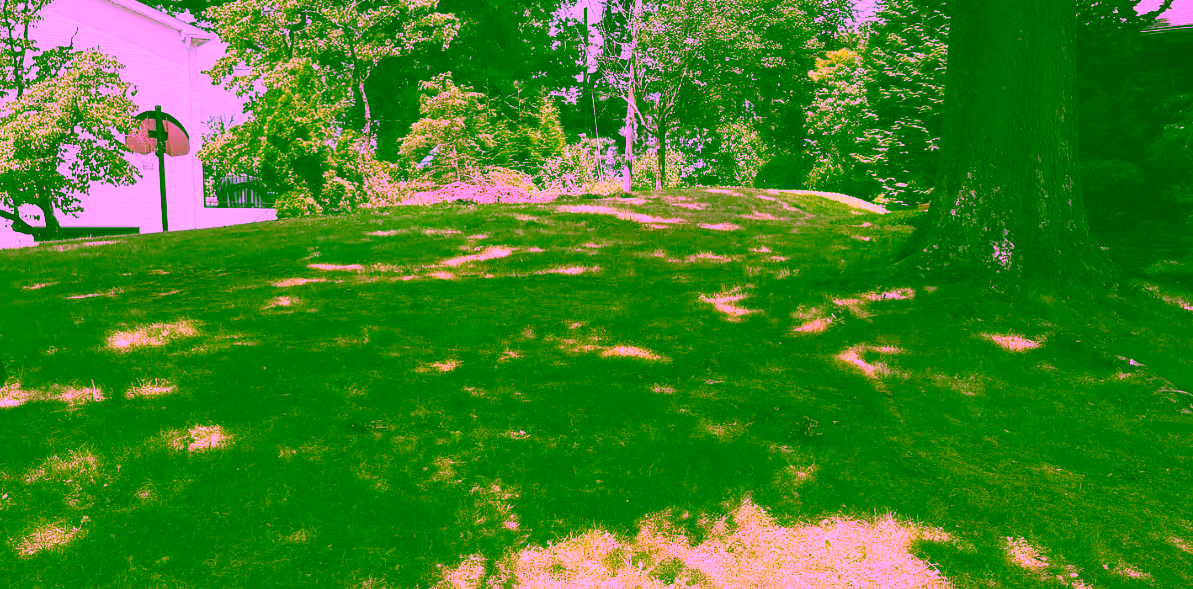 Hydroseeding services in Pittsburgh