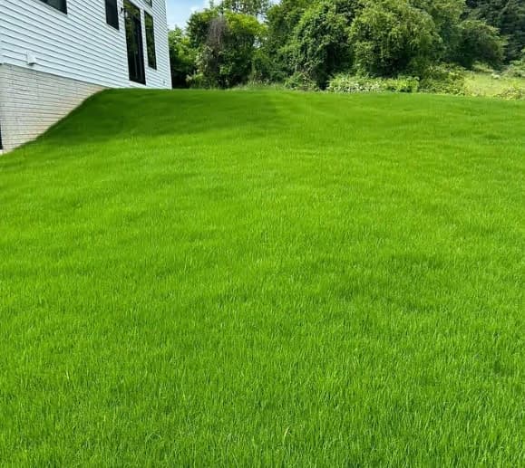 Lawn Aeration & Overseeding services in Pittsburgh