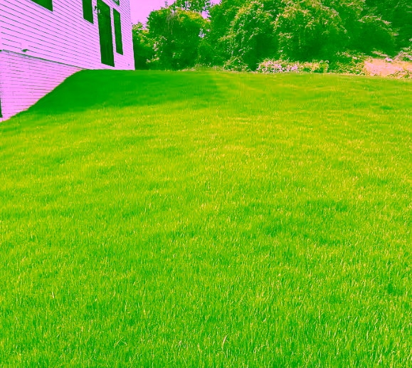 Lawn Aeration & Overseeding services in Pittsburgh