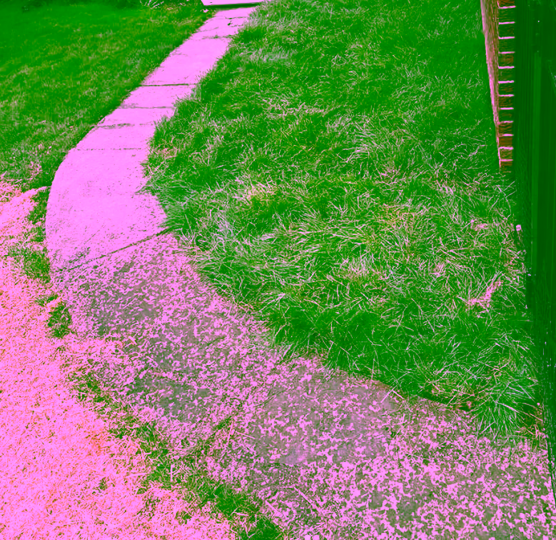 Gravel walkway with lawn edging