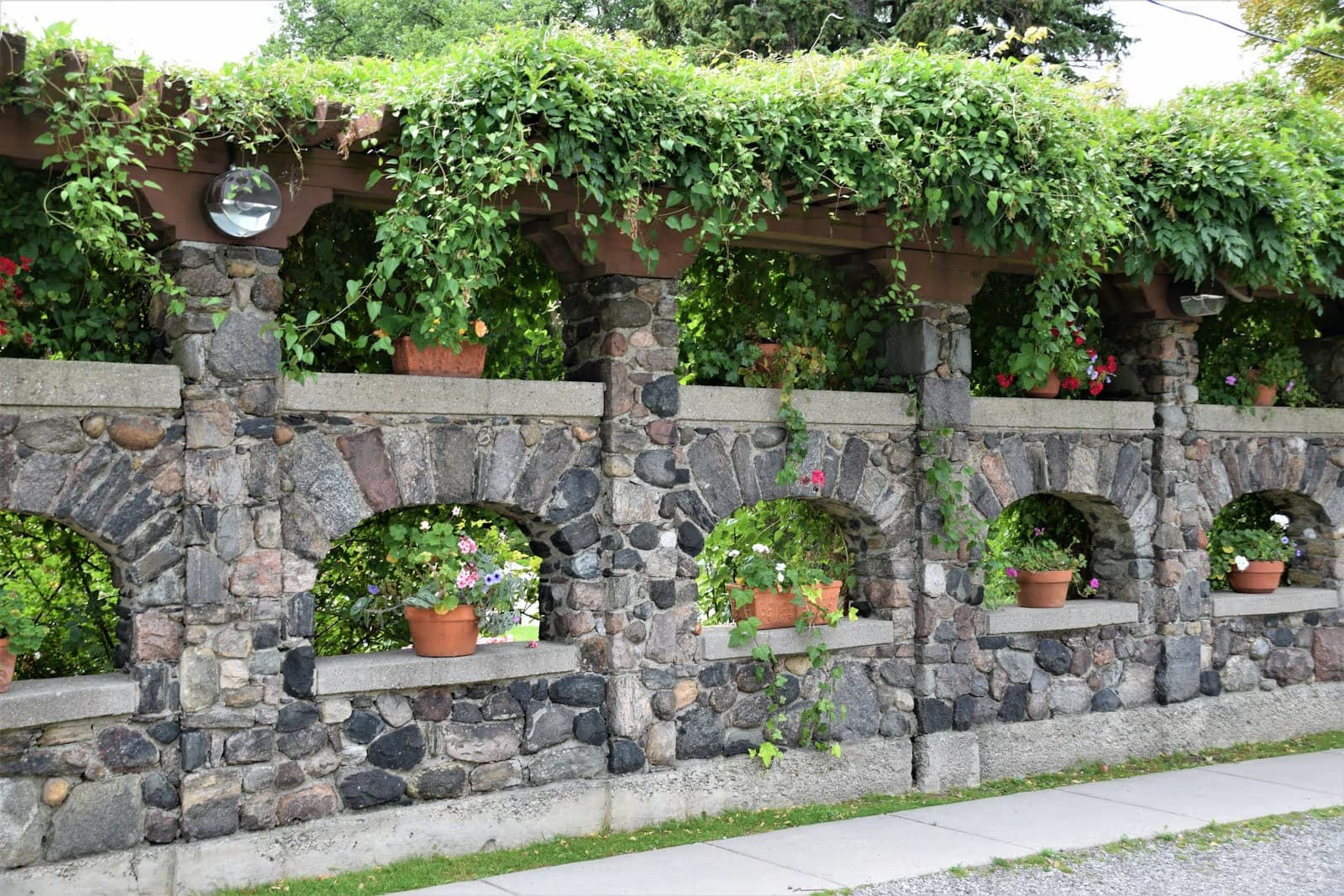 Plants established above a stone retaining wall