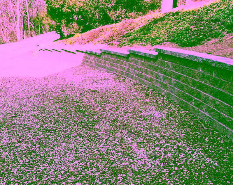 Segmental block wall installation